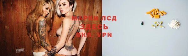 крисы Заводоуковск