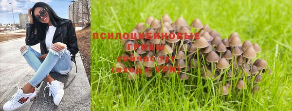 крисы Заводоуковск