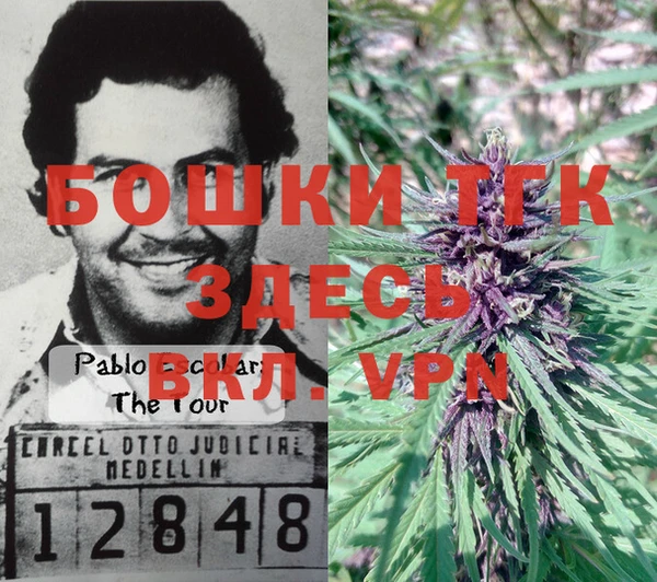 крисы Заводоуковск