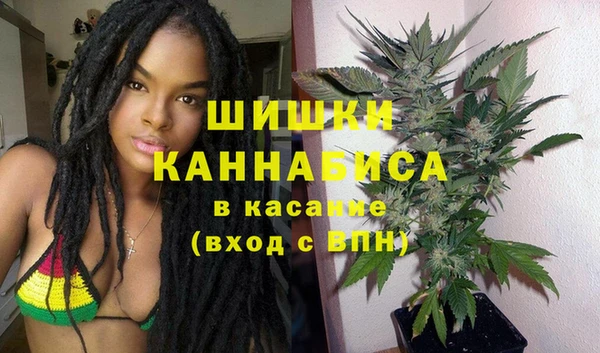 крисы Заводоуковск