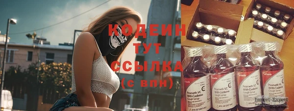 крисы Заводоуковск