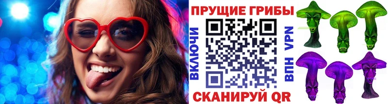 закладки  Домодедово  Псилоцибиновые грибы GOLDEN TEACHER 
